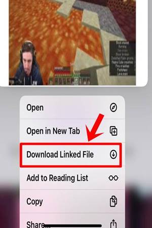 Instagram Private Video Downloader
