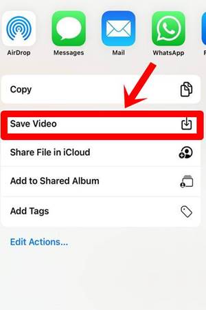 Instagram Private Video Downloader
