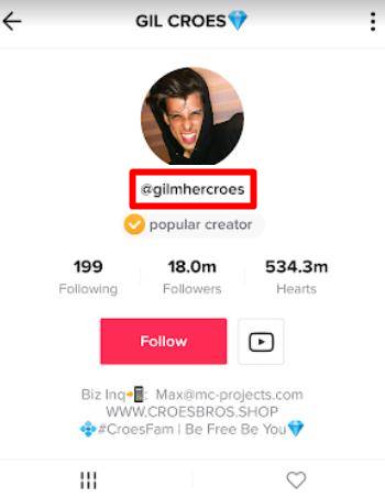 tiktok profile picture download